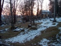 Nikolaifriedhof2.jpg